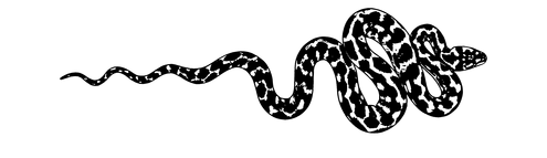 Black outline of a snake