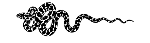 Black outline of a snake